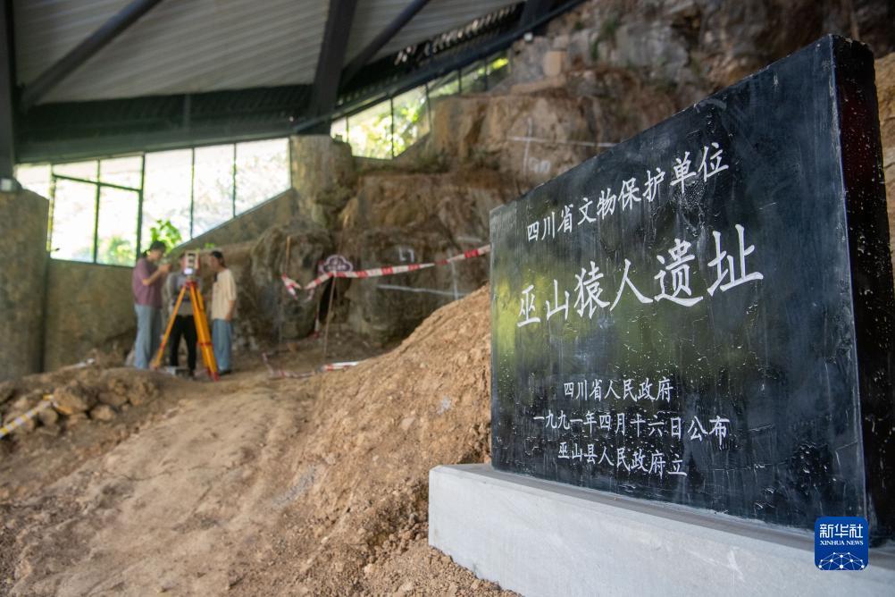 皇冠走地网